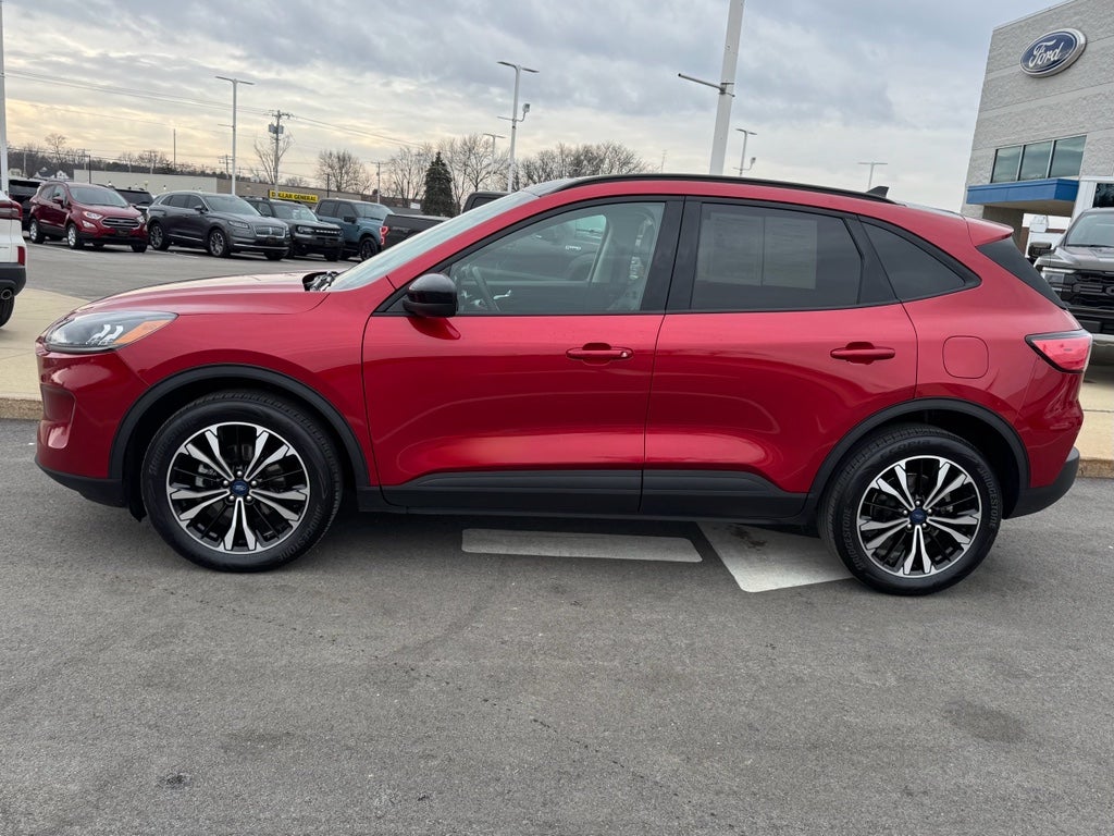 2022 Ford Escape SEL 4WD